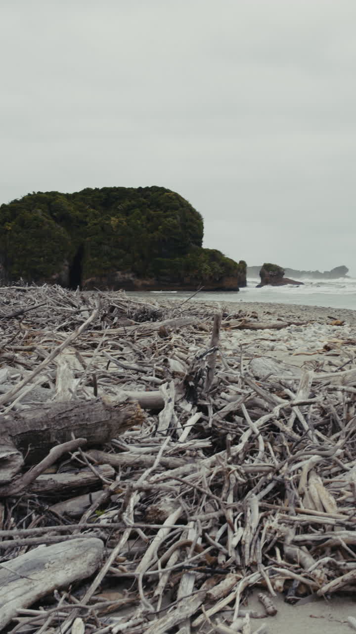 Paisaje de playa con madera flotante