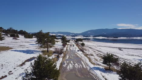 Die-Menschen-Gehen-Im-Winter-Auf-Einem-Verschneiten-Fußweg,-Der-Von-Kiefern-In-Der-Nähe-Des-Sees-Umgeben-Ist