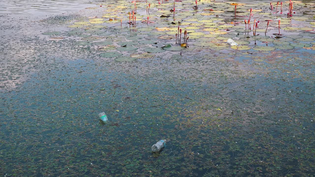 botellas de agua de un solo uso desechadas arrojadas al foso de angkor wat en el parque arqueológico de angkor en camboya