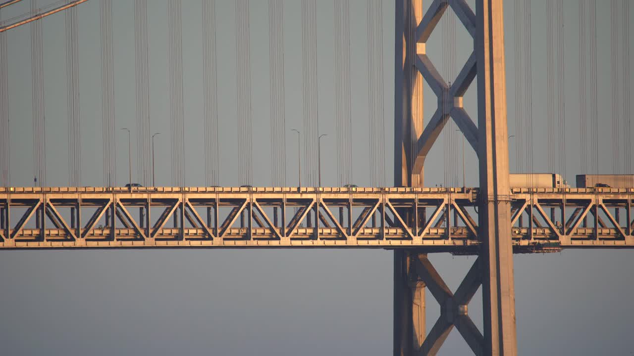 보물섬에서 박쥐 다리 근접 촬영 보기