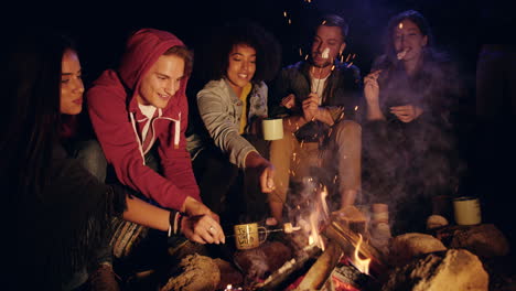 friends enjoying campfire marshmallows