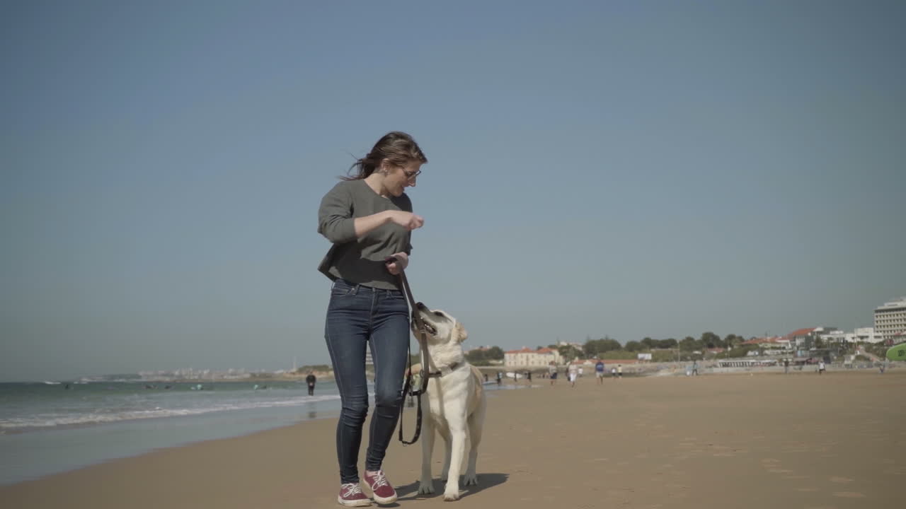 미소 짓는 젊은 여성이 모래 해변에서 래브라도와 함께 조하고 있습니다.