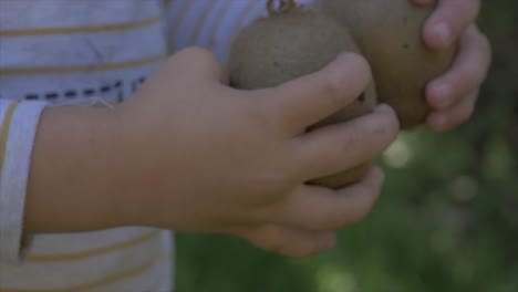 child holding kiwi fruit in orchid