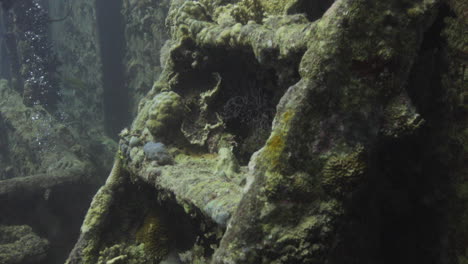 Ss-Thistlegorm-Es-Uno-De-Los-Naufragios-Más-Famosos-Del-Mundo-Que-Transportaba-Equipo-Militar-Durante-La-Segunda-Guerra-Mundial,-Atrae-A-Muchos-Buzos-Por-La-Cantidad-De-Carga-Que-Se-Puede-Ver-Y-Explorar