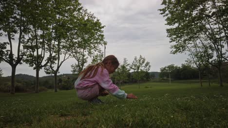 a young girl picking flowers in green meadow and dog in the background