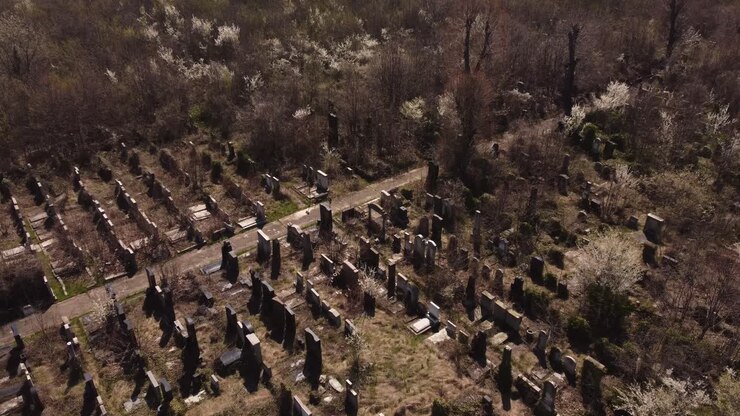 Cimitero abbandonato, invaso dalla vegetazione, lapidi misteriose.