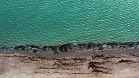 magnífica vista aérea superior de una playa tropical exótica en la playa bien cerca de joao pessoa, brasil en un cálido día de verano