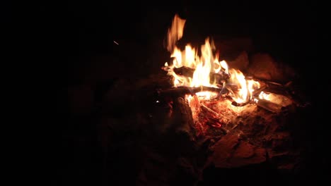 campfire with burned woods and ashes in forest stock video i beautiful campfire or bonfire full shot stock video