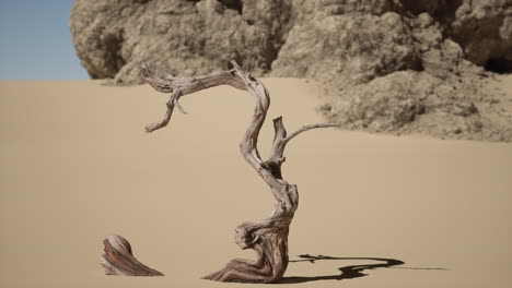 un árbol muerto en un paisaje desértico