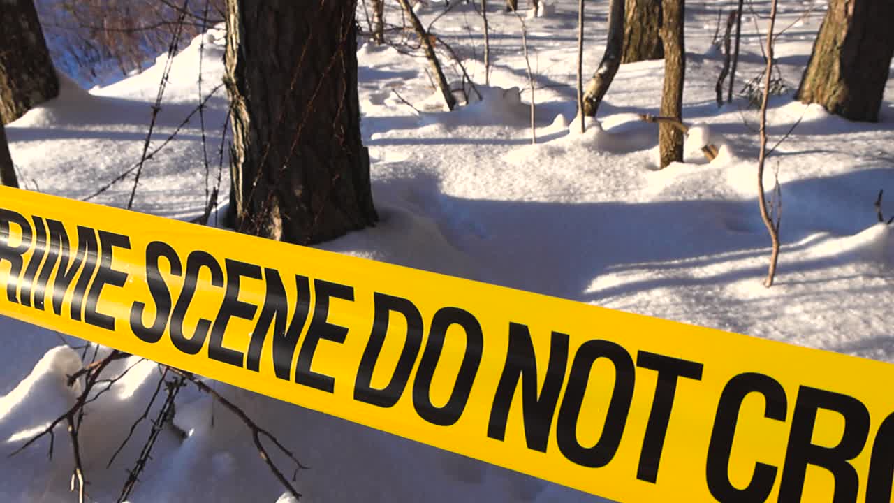Yellow caution ribbon spans a bright winter woodland as drifting flakes and long shadows define the restricted area