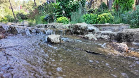 small water stream flowing over rocks in a green park