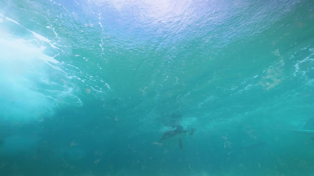 Underwater view on aquamarine water of the legs of a surfer in slow motion.