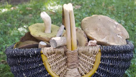 Pan-right-to-a-basket-of-mushrooms