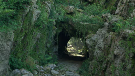 misteriosa entrada a una cueva cubierta de vegetación en un bosque exuberante