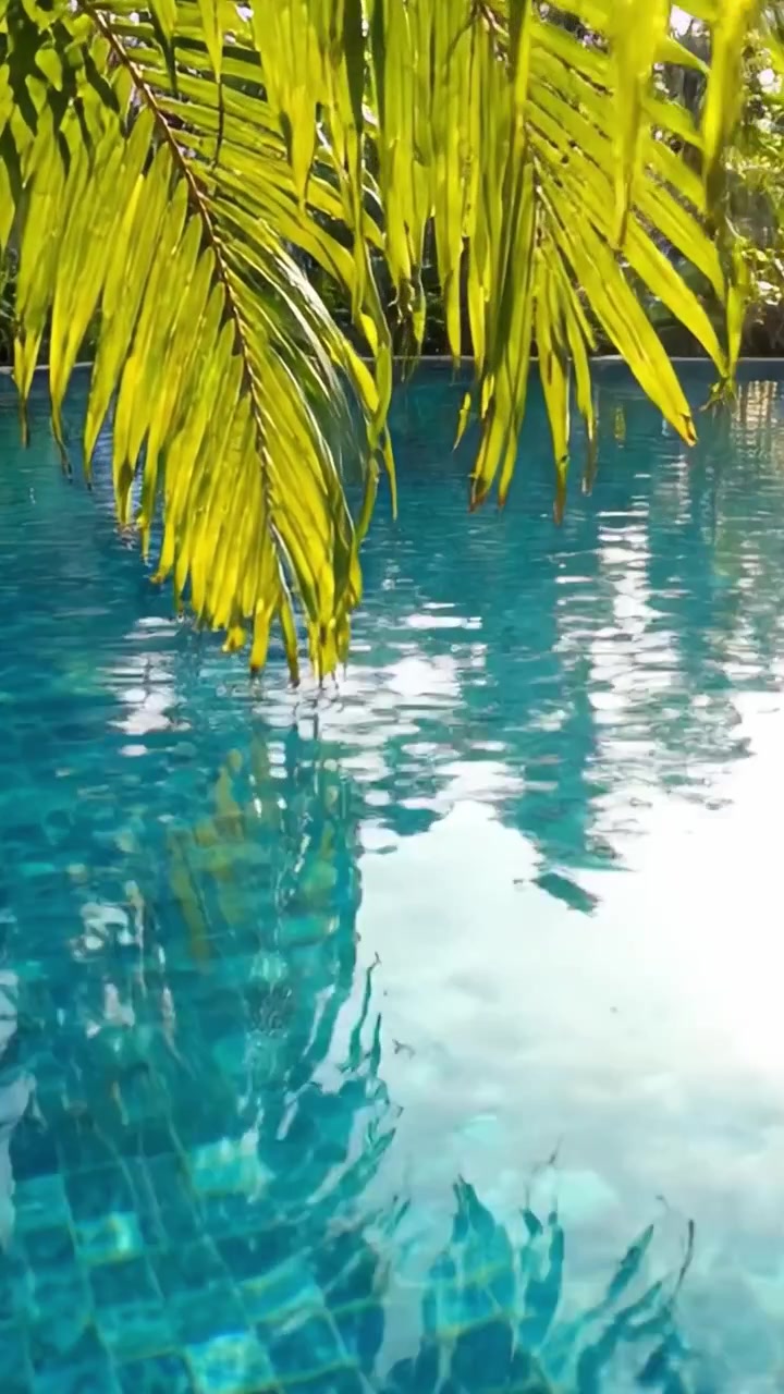 Tranquil Reflection: A Serene Poolside Scene Framed by Tropical Greenery and Crystal Clear Waters for Relaxation and Peaceful Moments