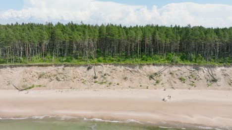 Luftaufnahme-Des-Ostseestrandes-Von-Jurkalne-An-Einem-Sonnigen-Sommertag,-Weiße-Sandklippe,-Beschädigt-Durch-Wellen,-Küstenerosion,-Klimawandel,-Aufsteigende-Drohnenaufnahme,-Die-Sich-Vorwärts-Bewegt