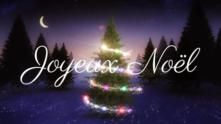 Animation du texte Joyeux Noël sur un sapin de Noël et de la neige qui tombe sur un paysage hivernal