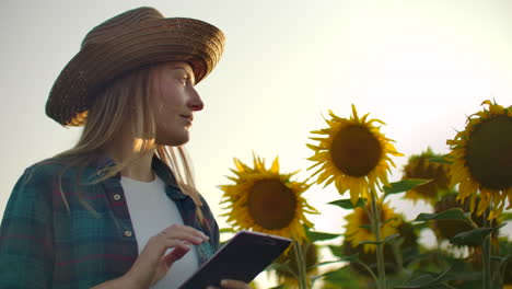 Bäuerin-Nutzt-Moderne-Technologie-Auf-Dem-Feld.-Ein-Mann-Mit-Hut-Geht-Bei-Sonnenuntergang-In-Ein-Sonnenblumenfeld,-Hält-Einen-Tablet-Computer-In-Der-Hand,-Betrachtet-Die-Pflanzen-Und-Drückt-Mit-Seinen-Fingern-Auf-Den-Bildschirm.-Zeitlupe