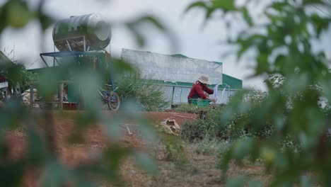 woman washing clothes outdoors