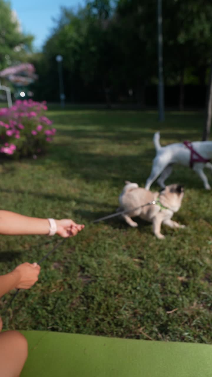 mujer haciendo ejercicio en un parque con un perro