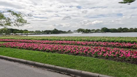 time-lapse of flower beds growth near a lake.