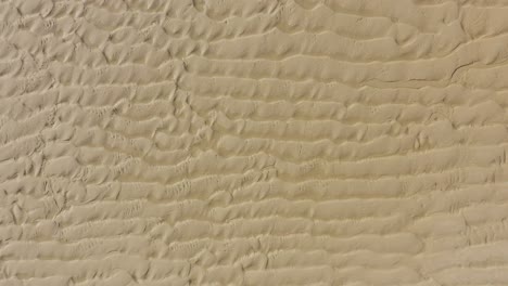 Drone-top-shot-of-tekstur-sandy-beach-of-Culatra-Faro-Island-as-background,-Italy