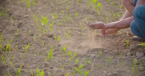 farmer examining dry soil 10