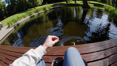 park pond with ducks and people