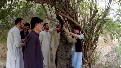 the sheepskin extraction process