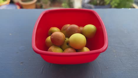 closeup of ripe ber or indian jujube on red bowl