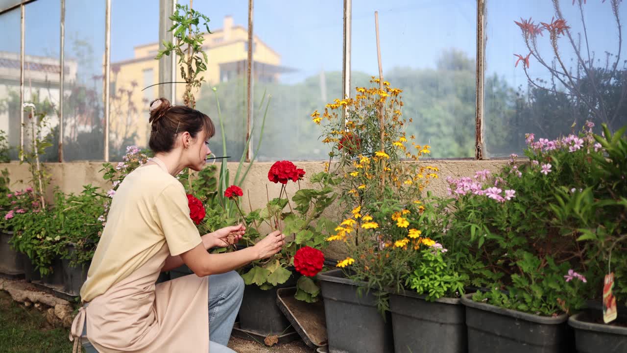 Jovem Mulher Cuidando de Flores em Vasos em uma Estufa