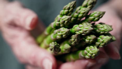 fresh green asparagus held in hands