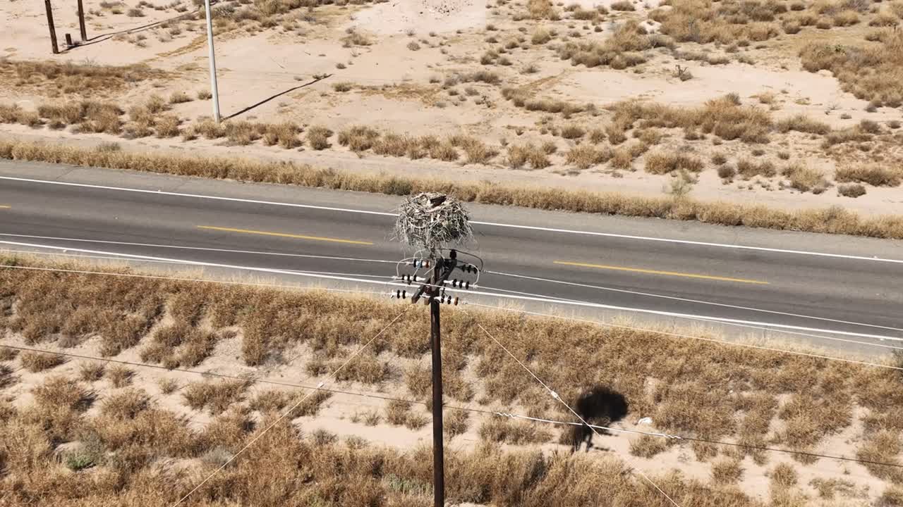 Aerial shot of a hawk's nest in the desert