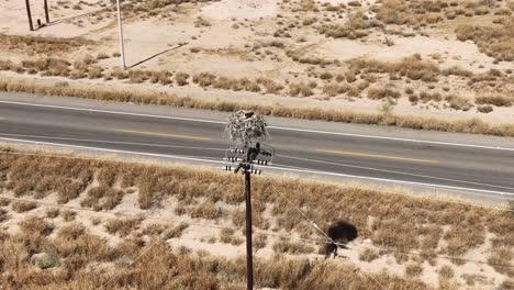 Toma-Aérea-Del-Nido-De-Un-Halcón-En-El-Desierto