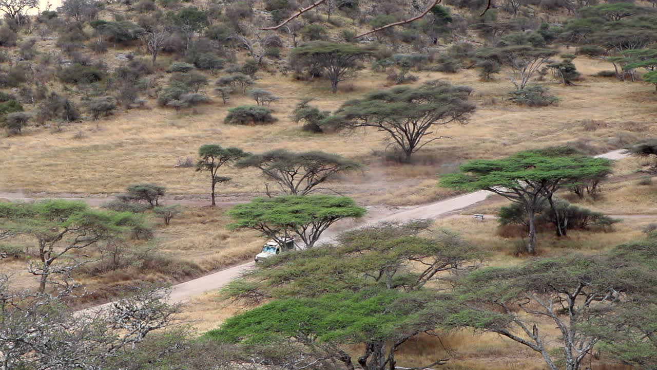 vista épica amplia y de ángulo alto de un jeep safari conduciendo por un camino de tierra en el parque nacional serengeti en tanzania