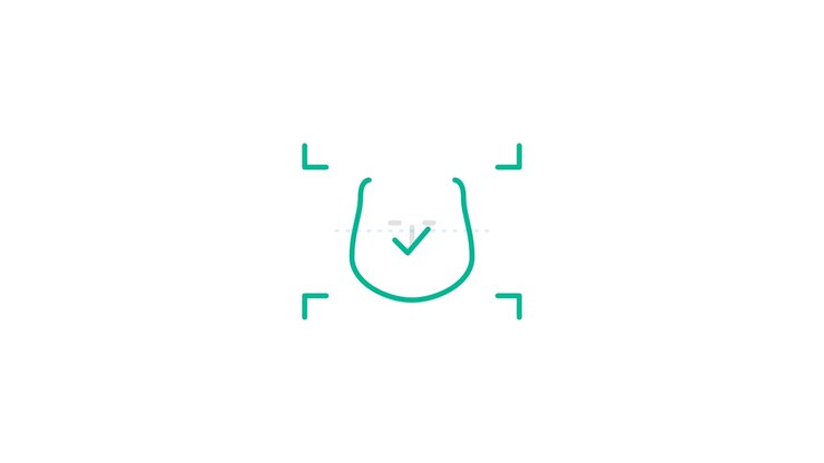 Digital Facial Recognition Scanning Process Animation