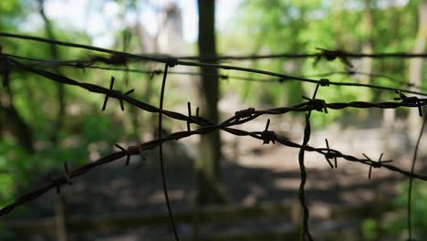 barbed wire in shade in forest in front of fenced area