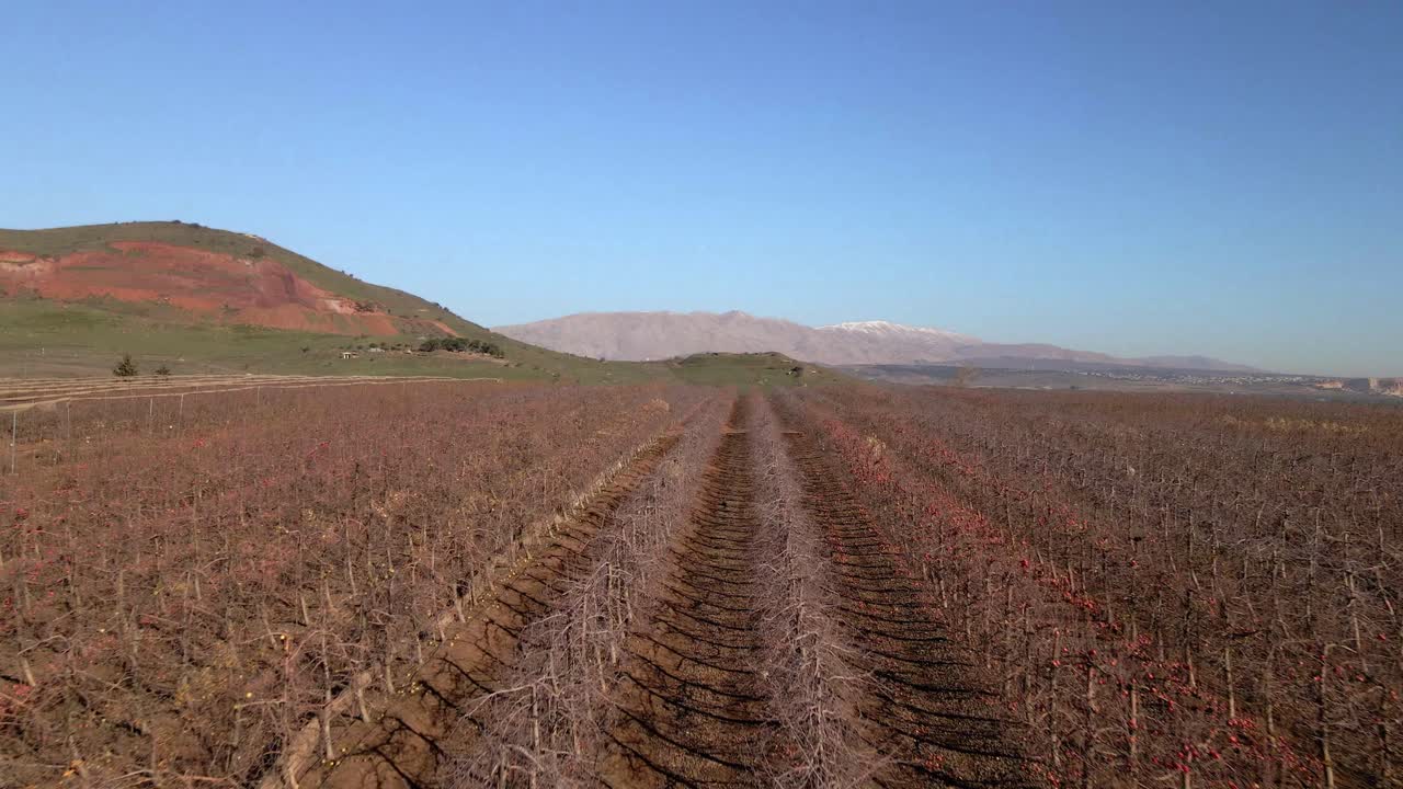 sobrevuelo de bajo nivel de drones de campos de viñedos, valle de lágrimas, monte hermon, israel