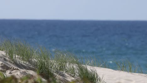 waves and sand dunes with grass