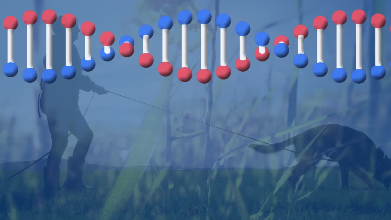 풍경에서 개를 가진 여자 위에 회전하는 dna 가닥의 애니메이션