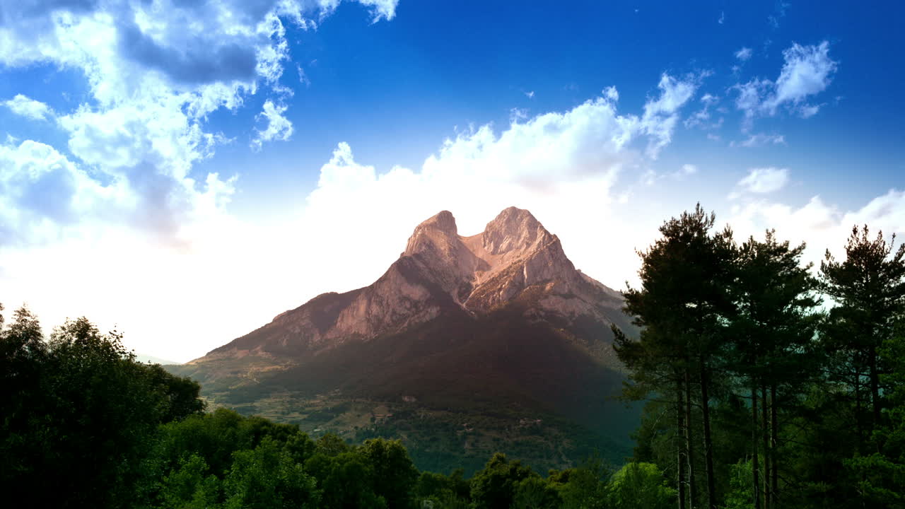 페드라 포카 0 22