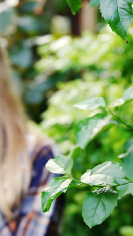 female gardener watering plants with watering can