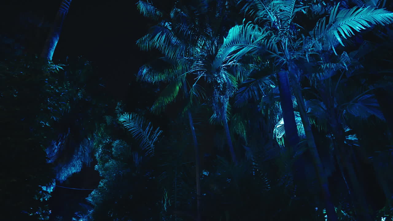 시드니 식물원 의 나무 들 에 투사 된 다채로운 빛 들 이 느린 움직임 에서 생생 하게 나타난다