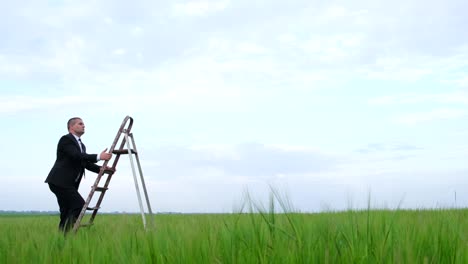 the office manager climbs the career ladder. young businessman in the middle of a green field.