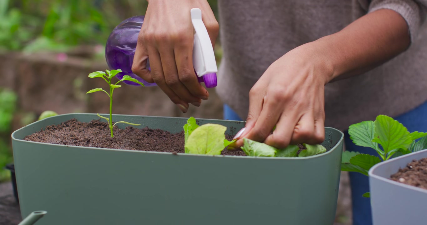 African American pair misting pinching lettuce on patio planter holding purple spray bottle tidying