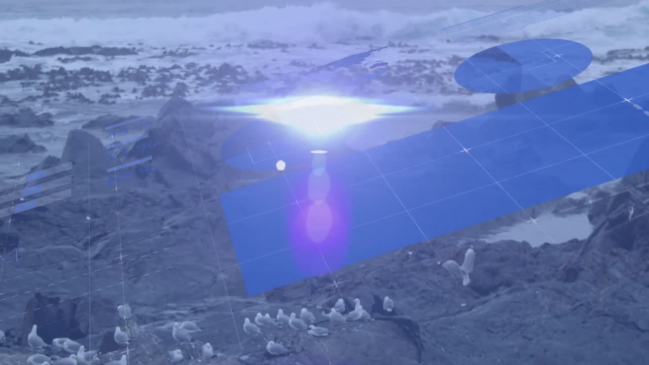 파란 그래프와 차트의 애니메이션이 새와 파도가 바위 해변에  ⁇ 어지고 있습니다.