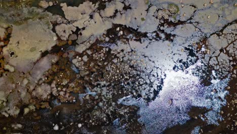 sobrevolando un oasis del desierto de atacama, las imágenes de drones capturan el exuberante refugio, su vibrante vegetación en contraste con la extensión árida circundante