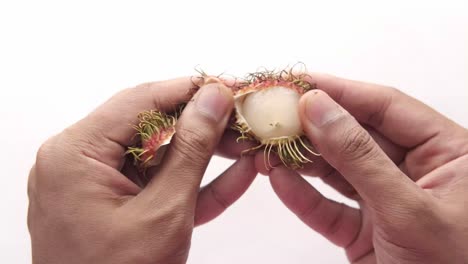 hands peeling a rambutan fruit