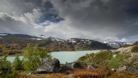 norway red foliage 4k 00
