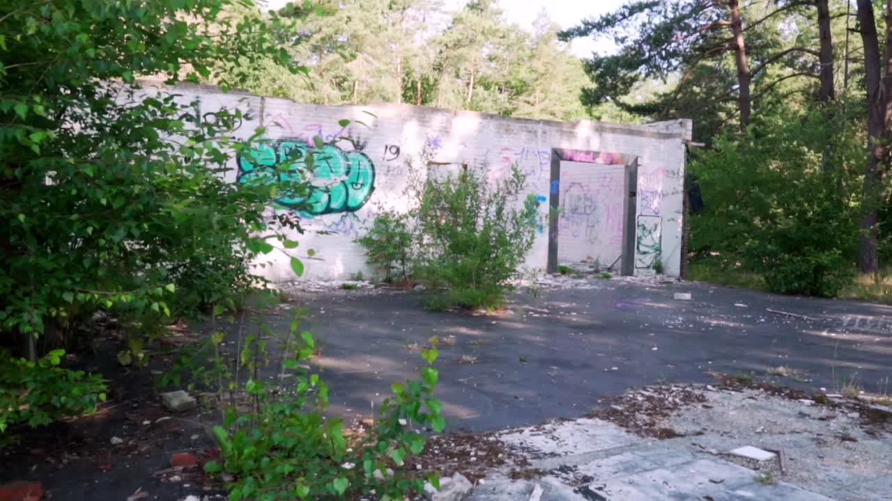 Abandoned building in a forest with graffiti